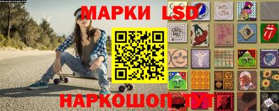 амф Гатчина