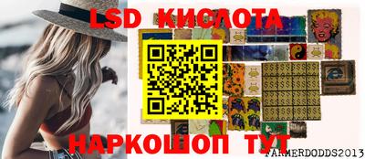 амф Гатчина