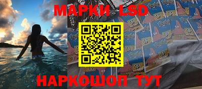 амф Гатчина