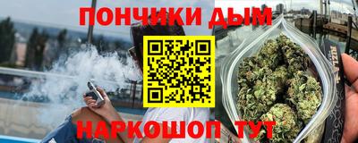 амф Гатчина