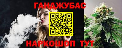 амф Гатчина