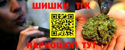 амф Гатчина