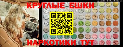 apvp Гай