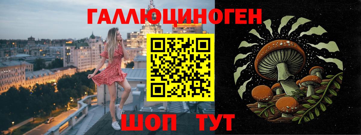 Псилоцибиновые грибы MAGIC MUSHROOMS Губаха