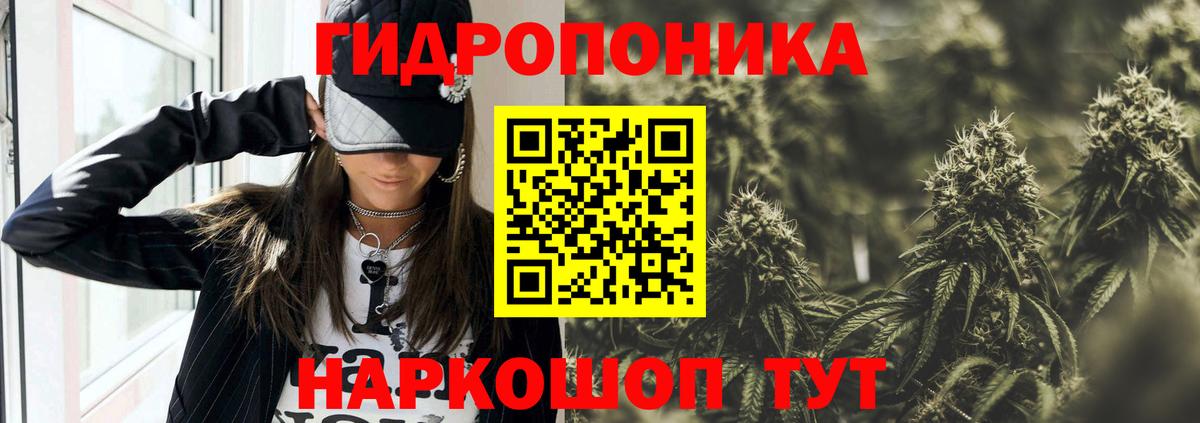 Бошки марихуана индика Губаха